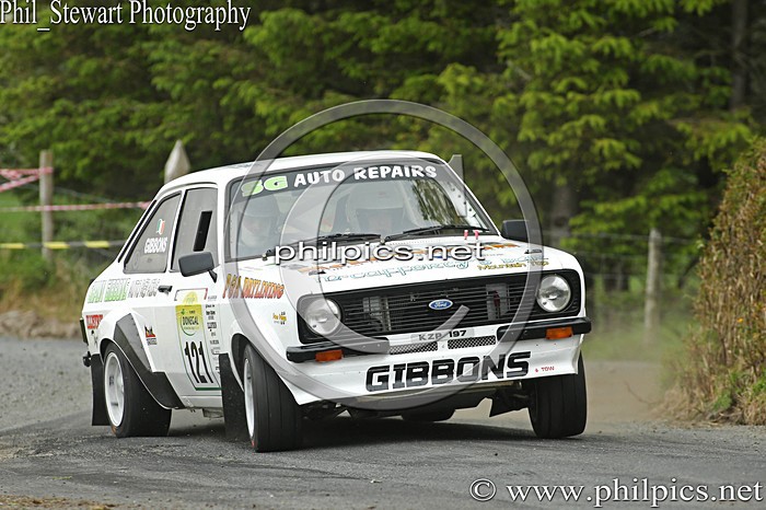 DI 194 - JOULE DONEGAL INTERNATIONAL RALLY (2015)