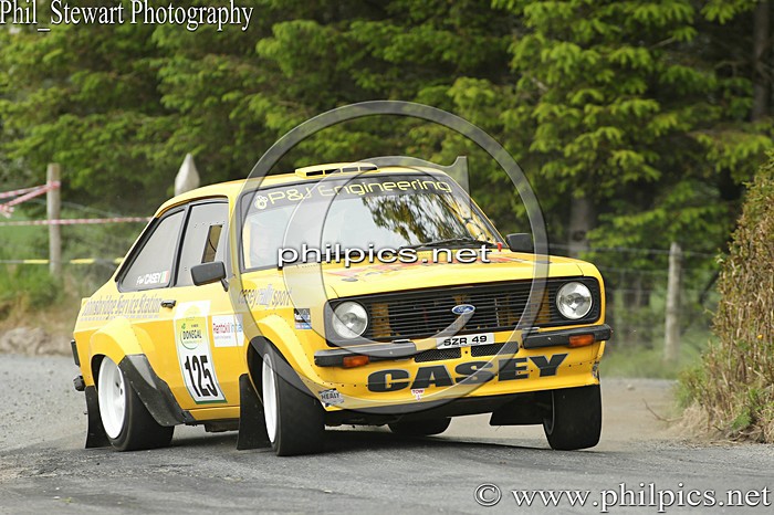 DI 209 - JOULE DONEGAL INTERNATIONAL RALLY (2015)