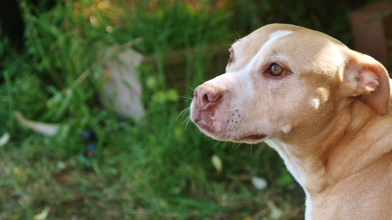  - solo & group portraits