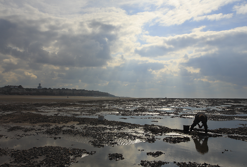 Mussel Picking - Hunstanton