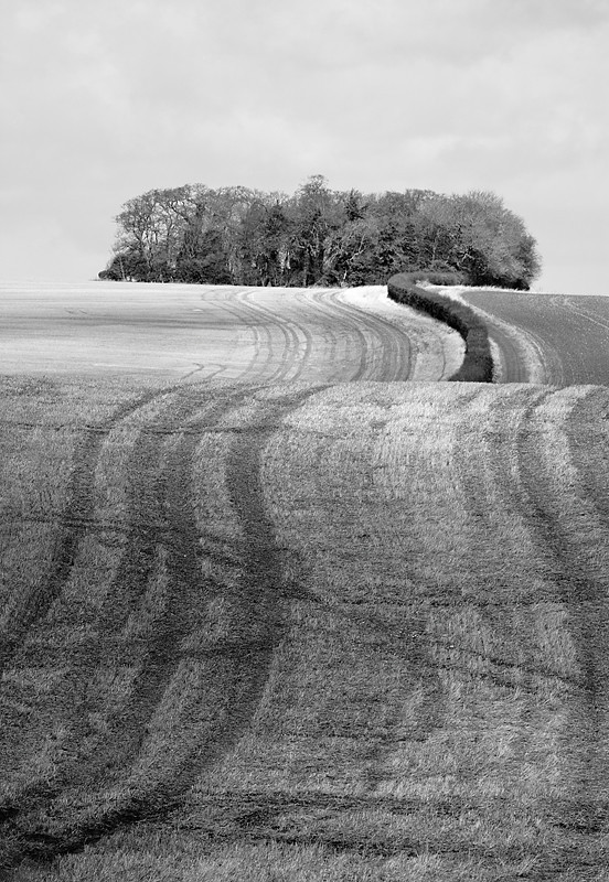 Peddar's Way at Fring - The Land