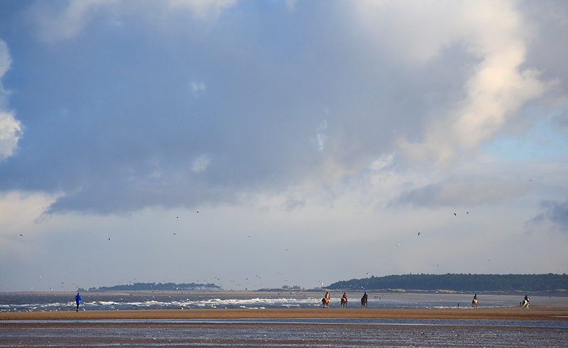 Riders - Holkham