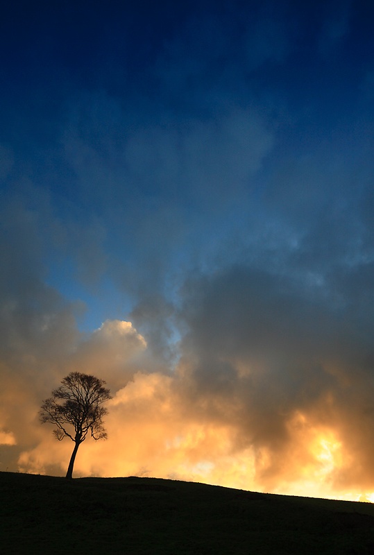 Near Sedgeford - The Land