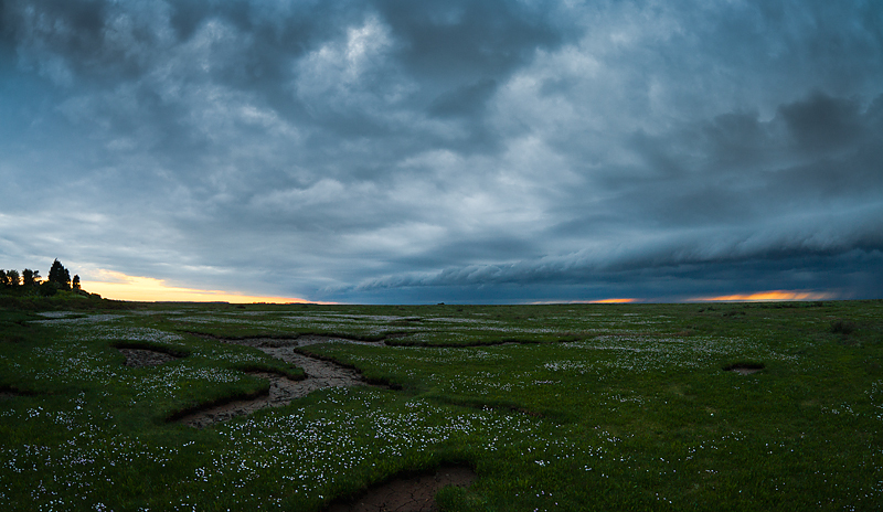  - Stiffkey