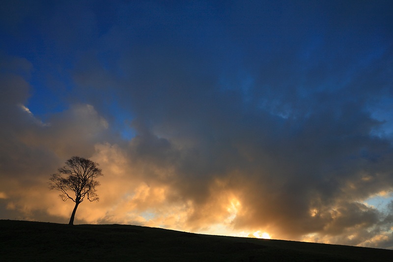 Near Sedgeford - The Land