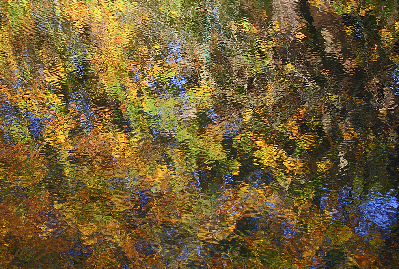 Autumn Colour - Textures Colours Details