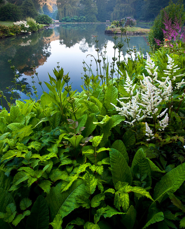  - Devon Gardens