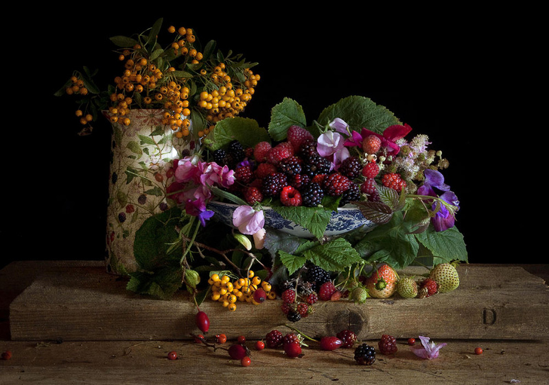  - STILL LIFE : Everything in the Garden Series