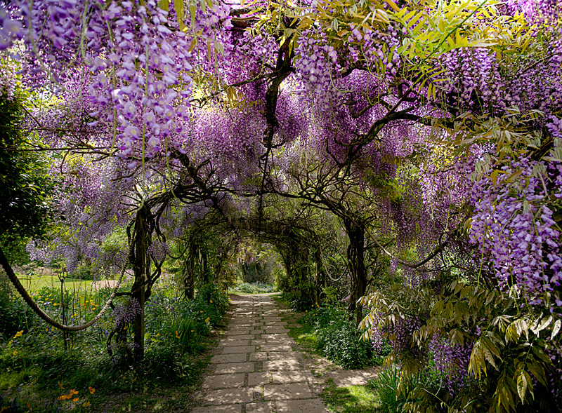  - Devon Gardens