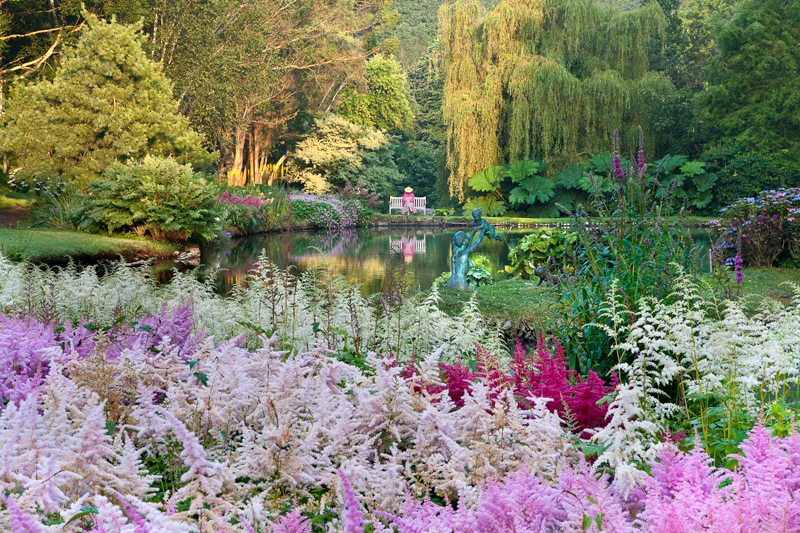  - Devon Gardens