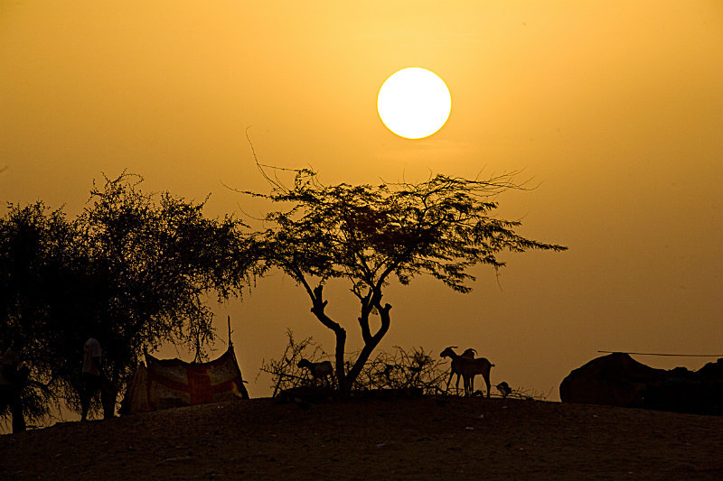  - AFRICA
