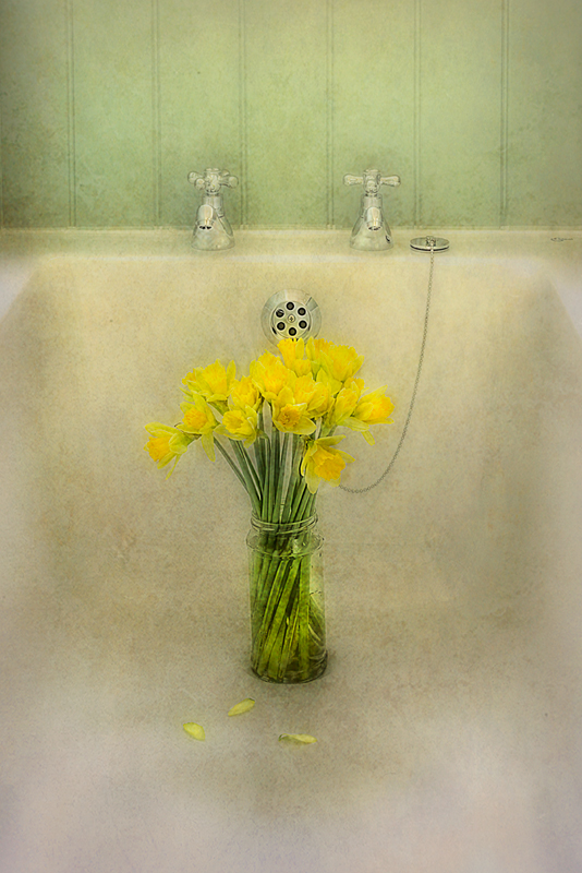  - STILL LIFE