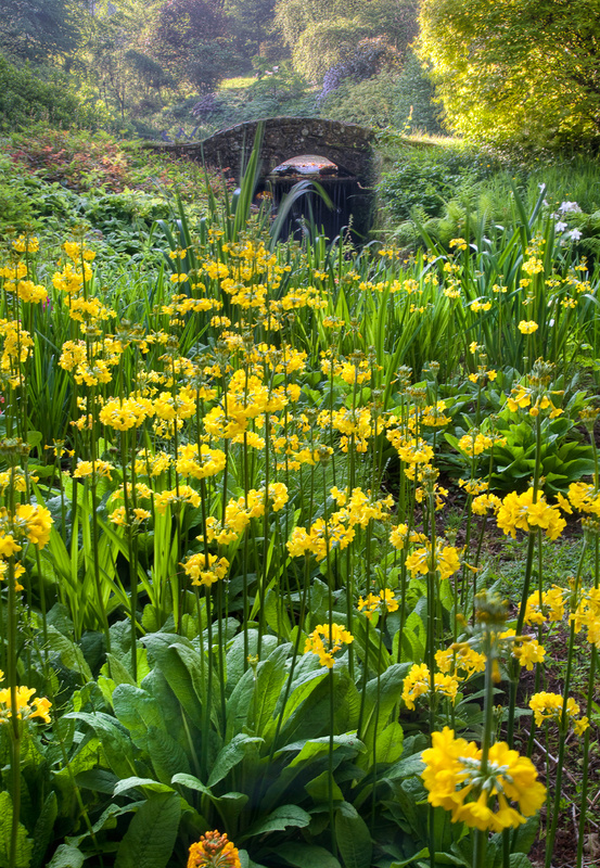 - Devon Gardens