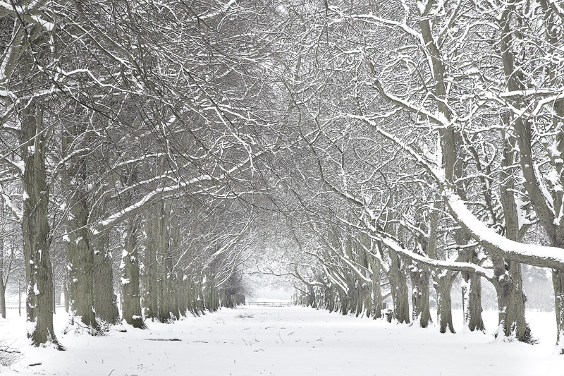  - Warwickshire and beyond ...