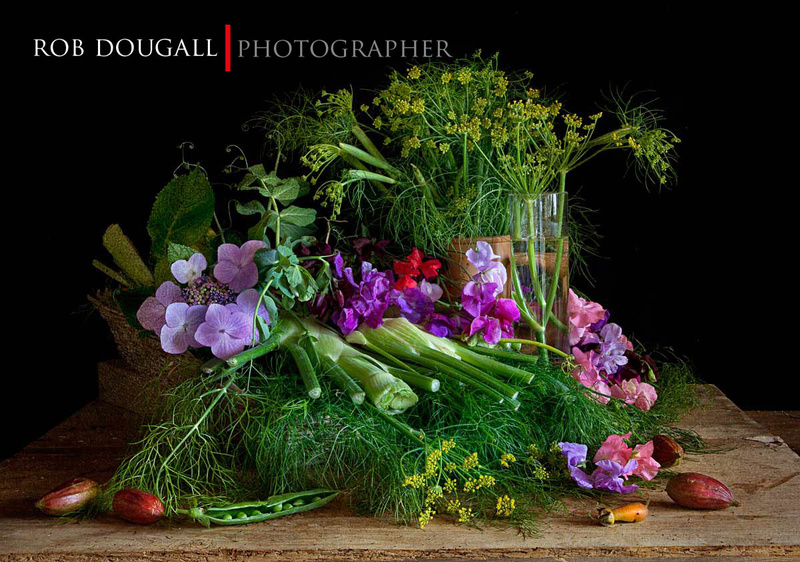  - STILL LIFE : Everything in the Garden Series
