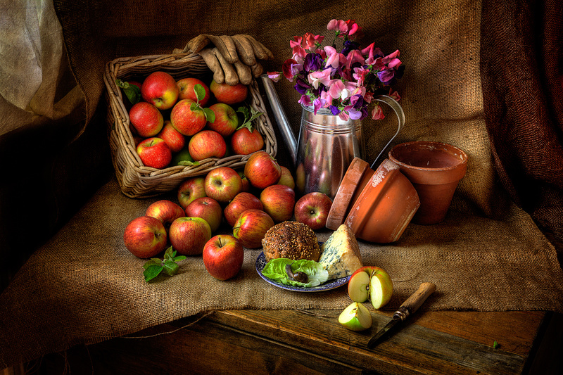  - STILL LIFE : Everything in the Garden Series