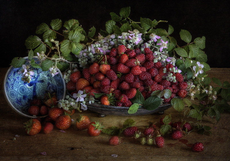  - STILL LIFE : Everything in the Garden Series