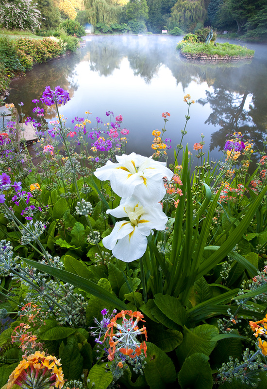 - Devon Gardens