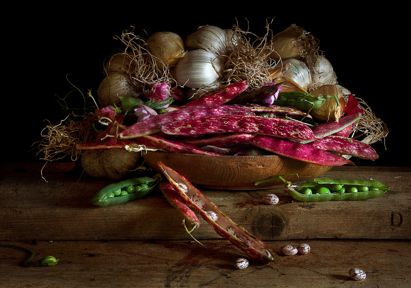  - STILL LIFE : Everything in the Garden Series