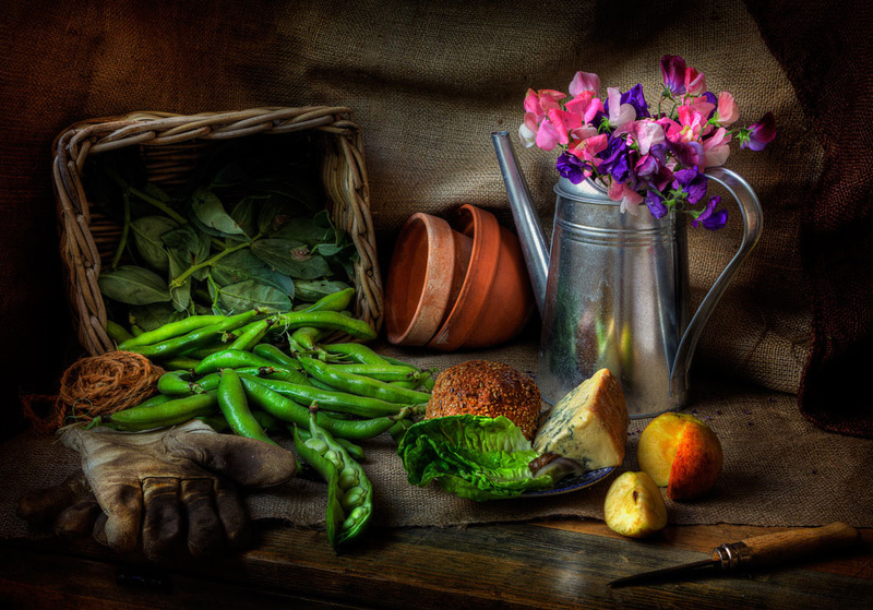  - STILL LIFE : Everything in the Garden Series