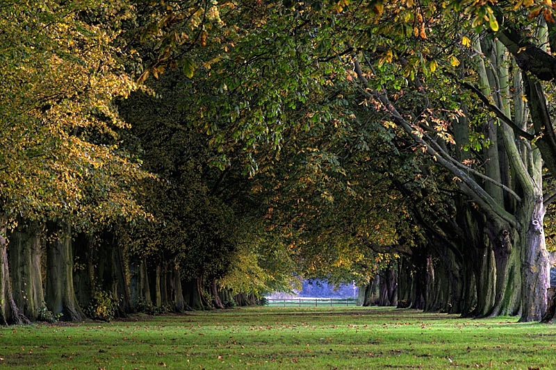  - Warwickshire and beyond ...