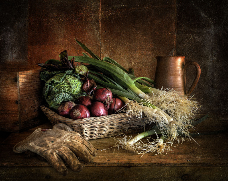  - STILL LIFE : Everything in the Garden Series