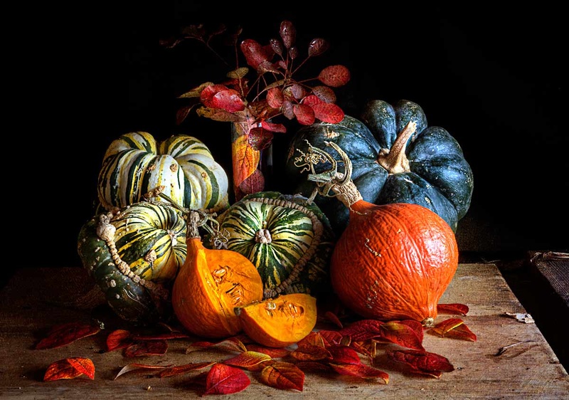  - STILL LIFE : Everything in the Garden Series