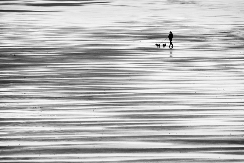 Walkies! - Monochrome