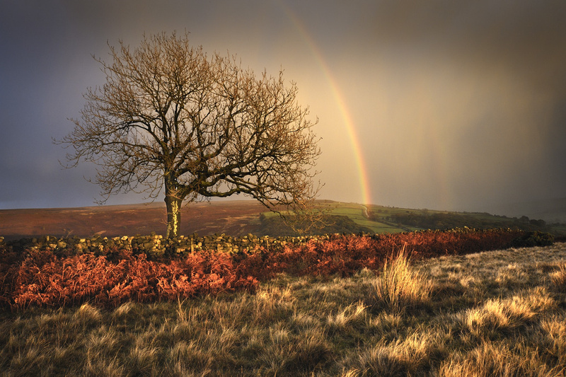 Drama on Danby moor. - Whitby & surrounding areas