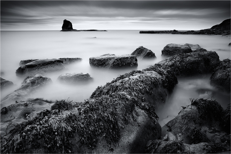 Seaweed - Whitby & surrounding areas