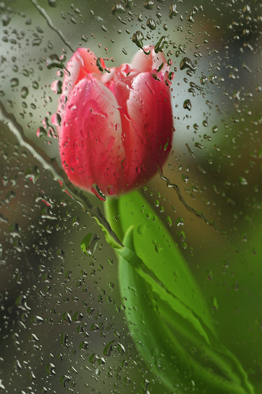 Inside out! - Flowers