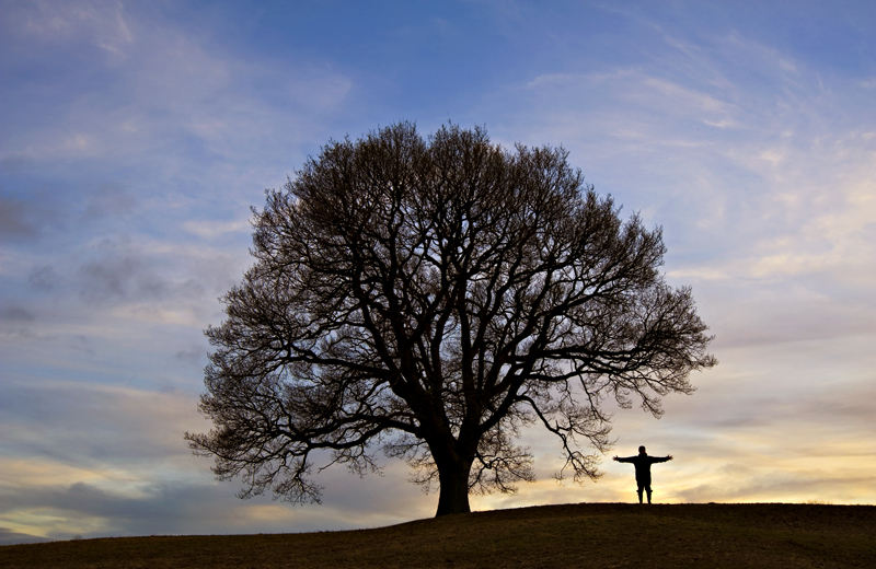 Human Scarecrow! - Yorkshire Dales