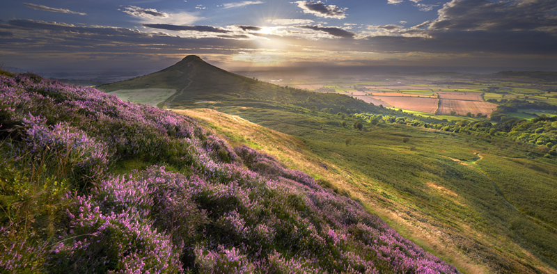 Summer Glow - Roseberry Topping - Recent Photographs