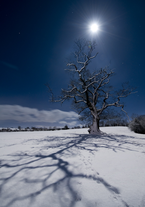 Happy New Year 2010 - Yorkshire Dales