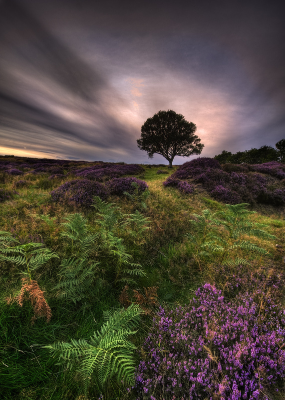 Into the light - Whitby & surrounding areas