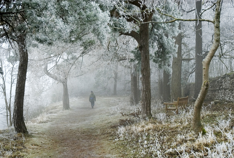 'Winter Wonderland' - Yorkshire Dales