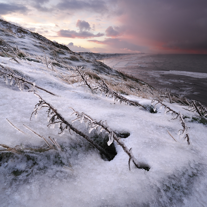 Ice sculptures1 - Saltburn By The Sea