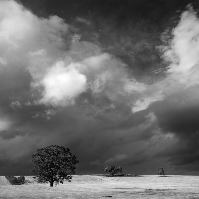 Beyond the storm - Square Format
