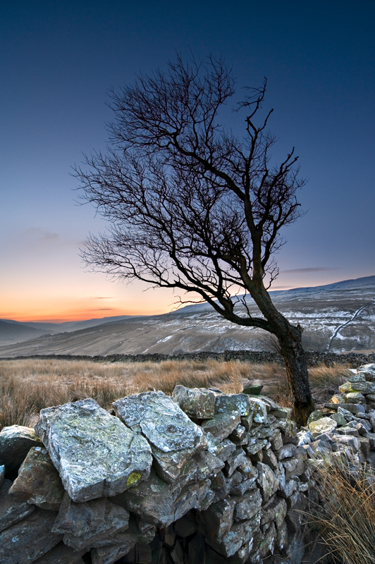 'Frosty Morning 1' - Yorkshire Dales - Yorkshire Dales
