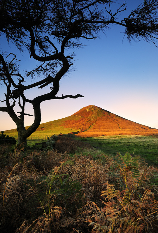 Roseberry Topping 2 - Autumn - Roseberry Topping