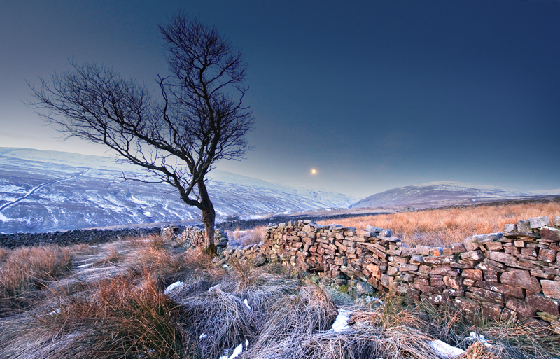 Frosty Morning 3 - Yorkshire Dales - Yorkshire Dales