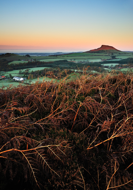 Roseberry Topping 2 - Low Lying Frost. (Portrait) - Roseberry Topping
