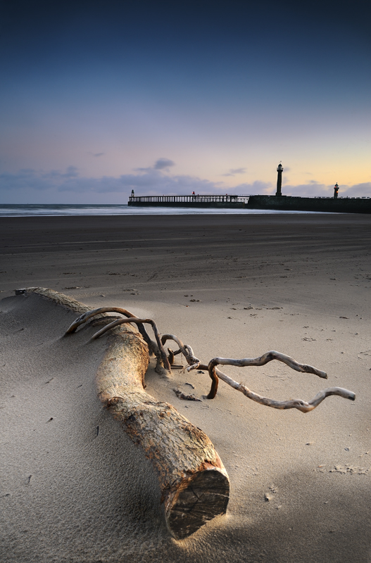 Adrift (Whitby) - Recent Photographs