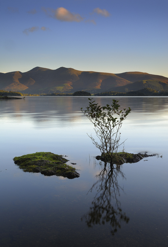 Reflections, Derwent Water - Cumbria - Cumbria