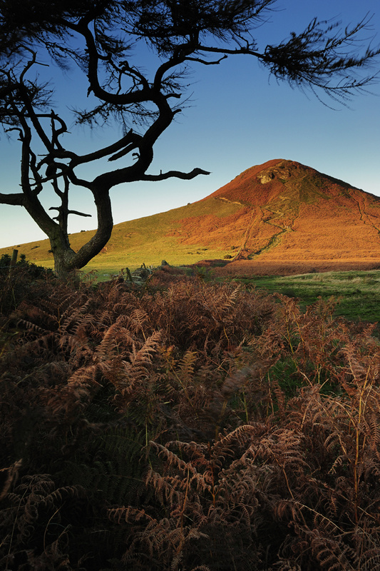 Roseberry Topping - Autumn - Roseberry Topping
