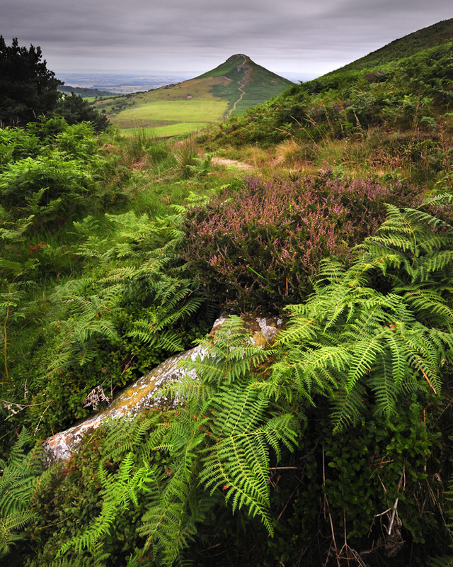 Ever Changing Moods-Roseberry Topping - Recent Photographs