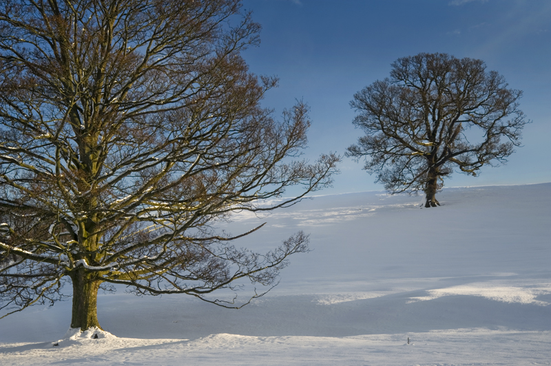 In Harmony - Yorkshire Dales