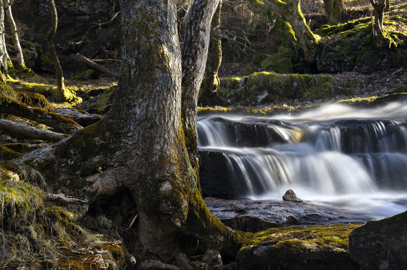 Dappled Light - Keld - Yorkshire Dales