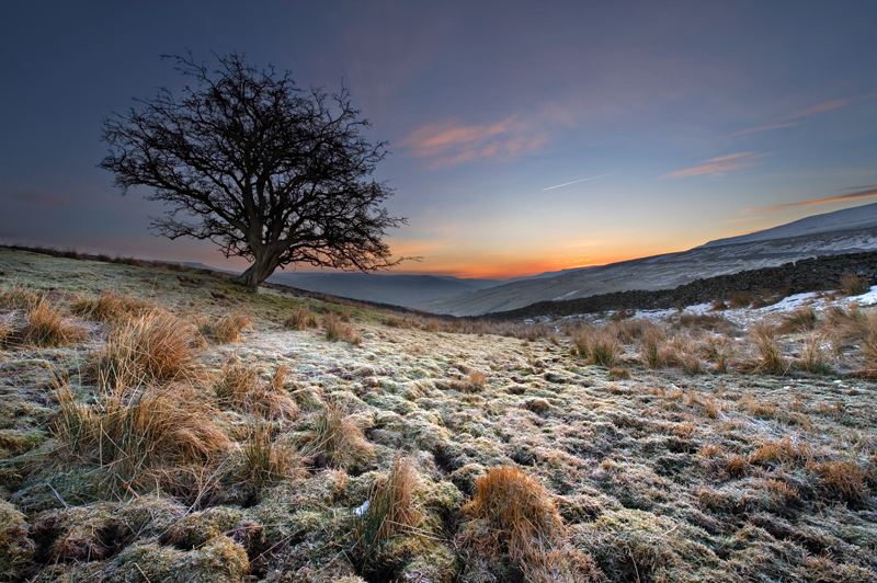 'Frosty Morning 2' - Yorkshire Dales. - Yorkshire Dales