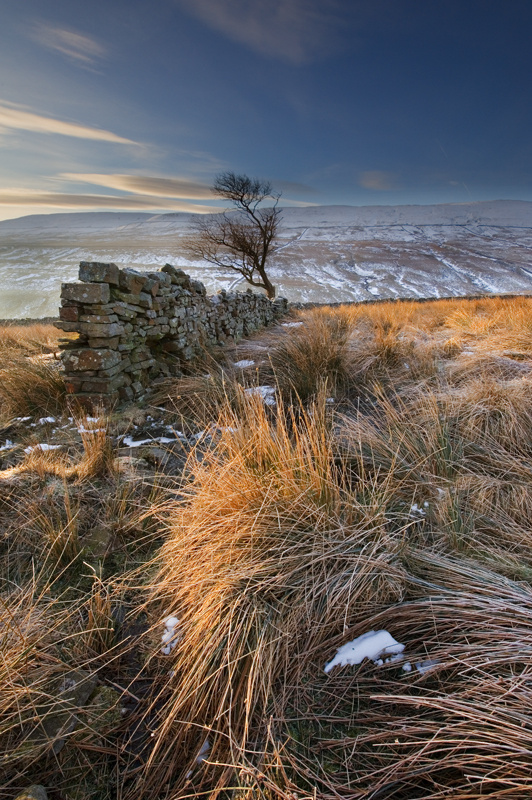 Frosty Morning 4 - Yorkshire Dales - Yorkshire Dales